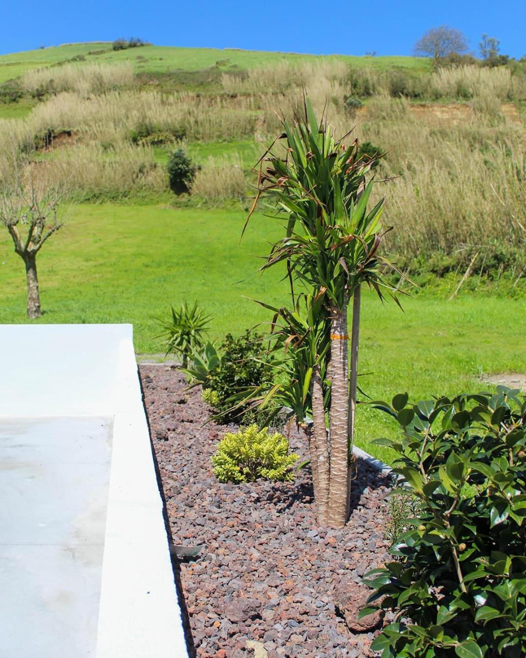 Dreamscape Villa Ponta Delgada  Exterior photo